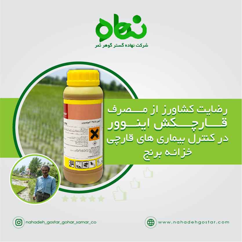 رضایت مشتریان از تاثیر قارچ کش اینوور در درمان بیماری های قارچی خزانه های برنج